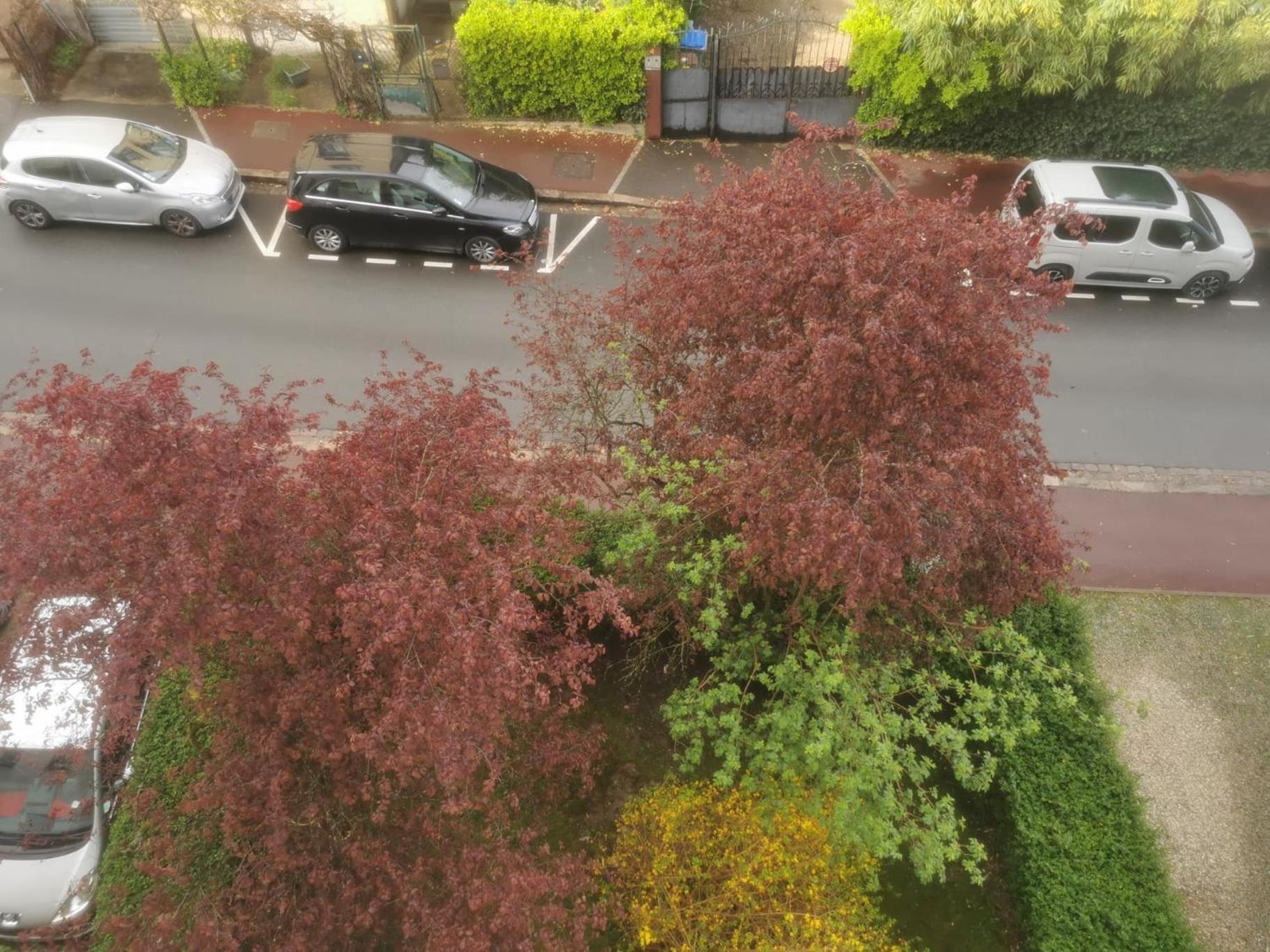 Appartement 3 Pieces A Seulement 5Km De Paris - For 2 To 7 Guests ! فونتوناي أو روز المظهر الخارجي الصورة